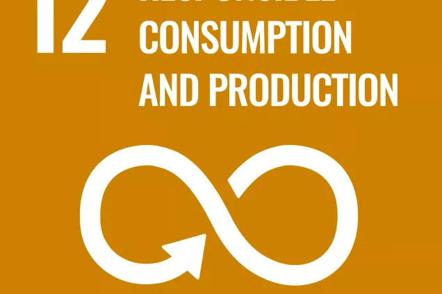 The UN Sustainable Development Goal 12 logo, "Responsible Consumption and Production".