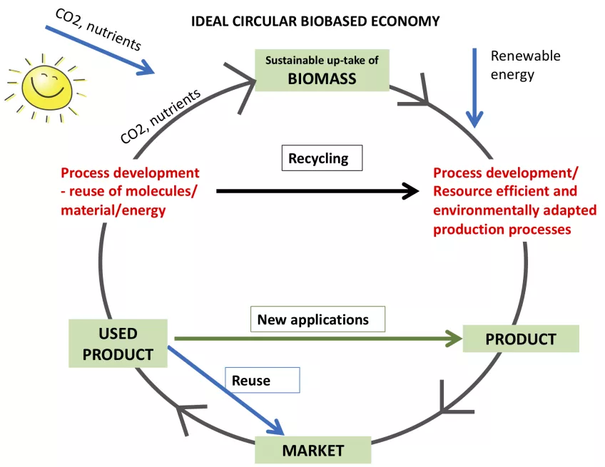 The ideal circular and biobased economy cycle. Sustainable up-take of biomass is combined with renewable energy to produce a product through resource efficient and environmentally adapted production processes. Once the product has been sold and used, in a circular economy it is either returned to the market for reuse, used in new applications, or through further product development, recycled so that the materials and energy can be reused. Remaining CO2 and nutrients can be then used to create new biomass.